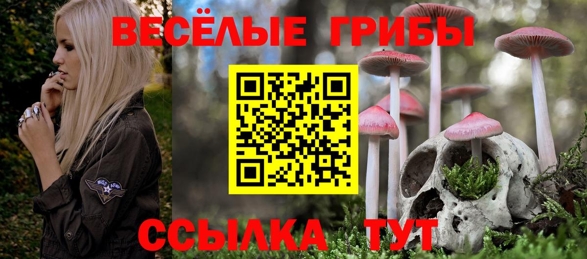 купить   Галлюциногенные грибы Magic Shrooms  Вход с VPN  Псилоцибиновые грибы мицелий  Можга 